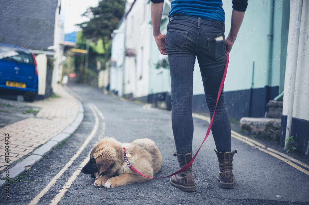 Young woman in street with Leonberger puppy Young woman in street with Leonberger puppy