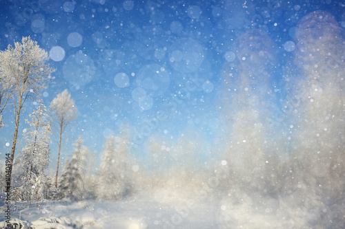 winter background blur forest snowflakes bokeh