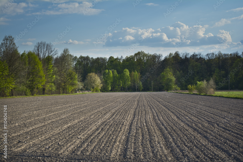 Agricultural landscape with a plowed field.