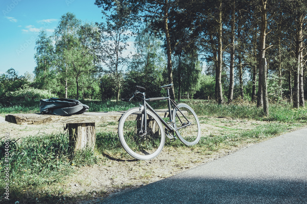 bicycle is lying on a bank in nature