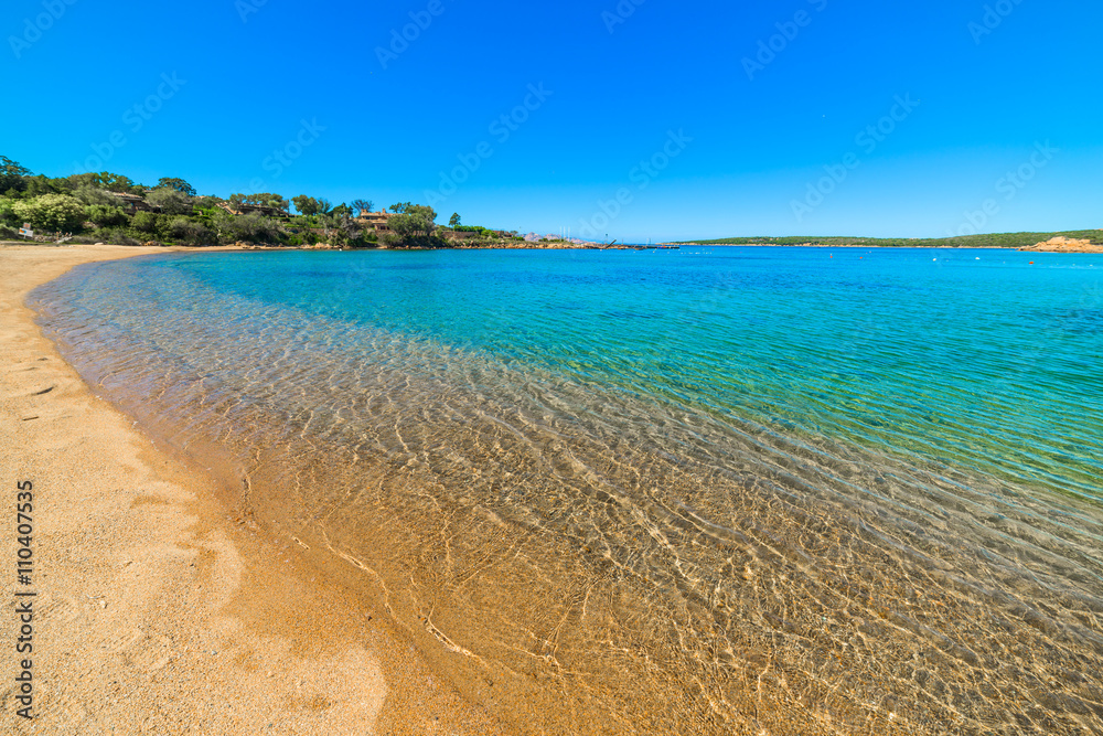Fototapeta premium golden shore in Liscia di Vacca