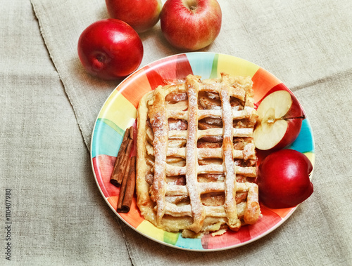 Apple Pie with Pastry Grid,Sugar Powder,on the Ceramic Plate with Cinnamon and Pieces of Fresh Apple,Top View photo