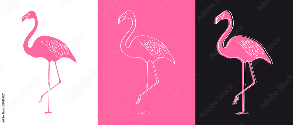 Fototapeta Ilustracja wektorowa flamingo