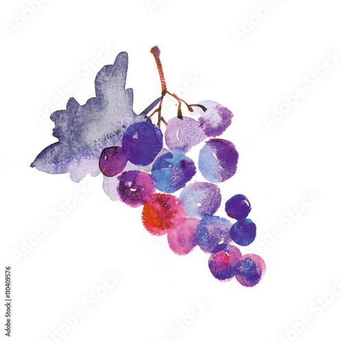 watercolor hand made illustration of grapes