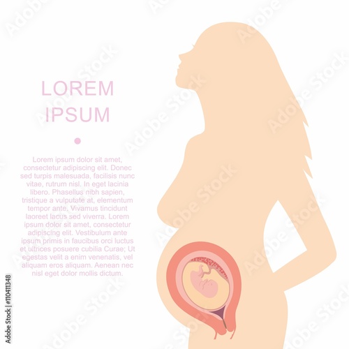 Illustration of a silhouette of a pregnant woman with an embryo