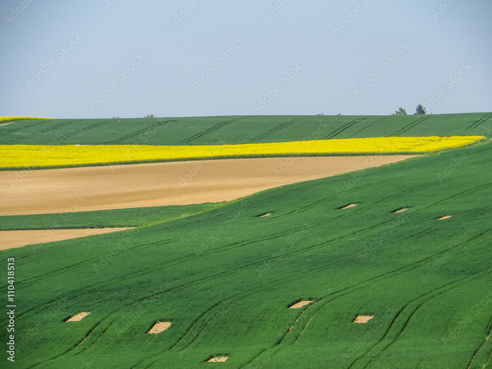 Obraz premium Agrarlandschaft