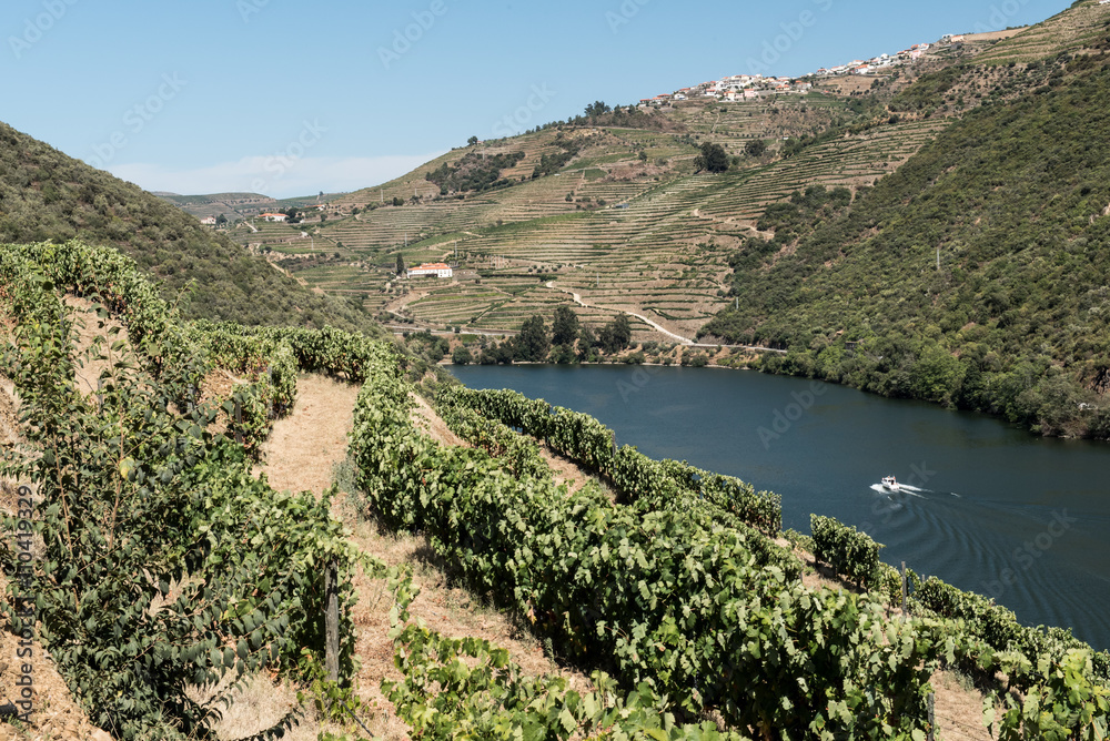 Douro Valley and Vineyards