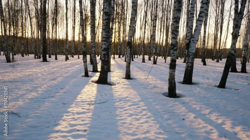 4K time lapse shoot of sunset in the winter forest
