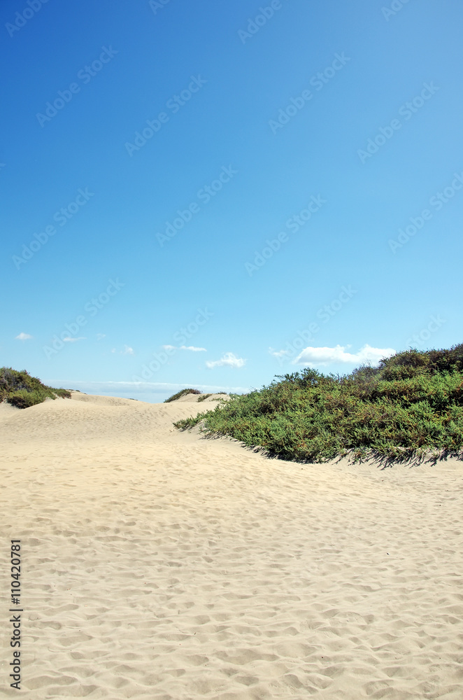 Dunes at  Gran Canaria island