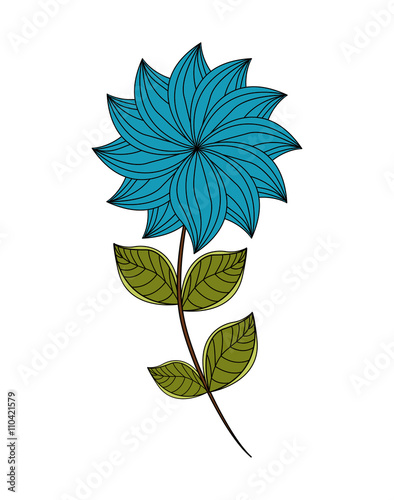 Floral design. garden illustration. white background