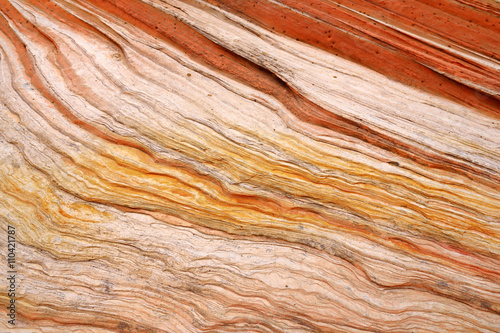 Detail of sandstone formations in White Pocket, Arizona