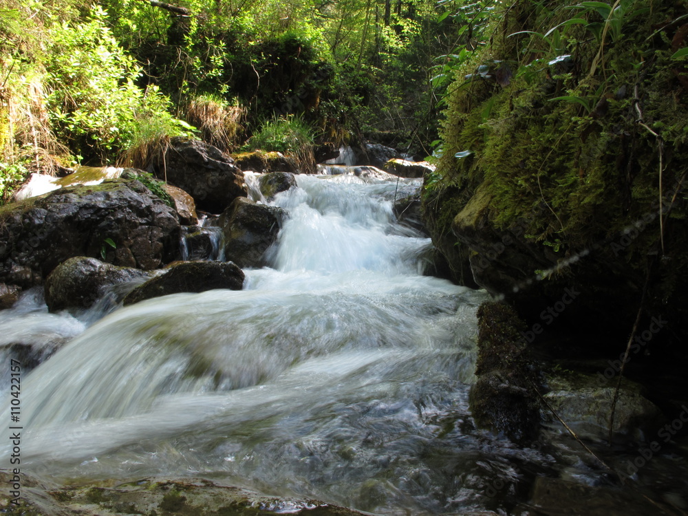 Fototapeta premium quellwasser