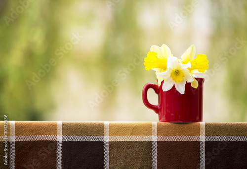 Fototapeta Naklejka Na Ścianę i Meble -  Easter flowers in spring - mothers day greeting card idea