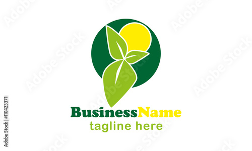 Leaf Logo Design 
