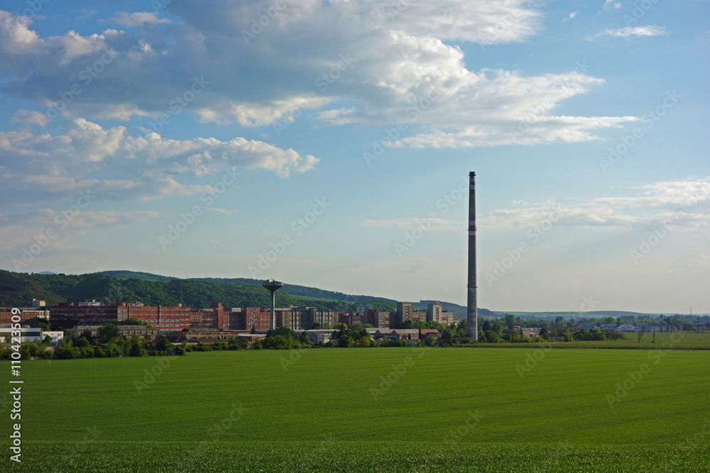 green field and the big plant in the background green field and the big plant in the background