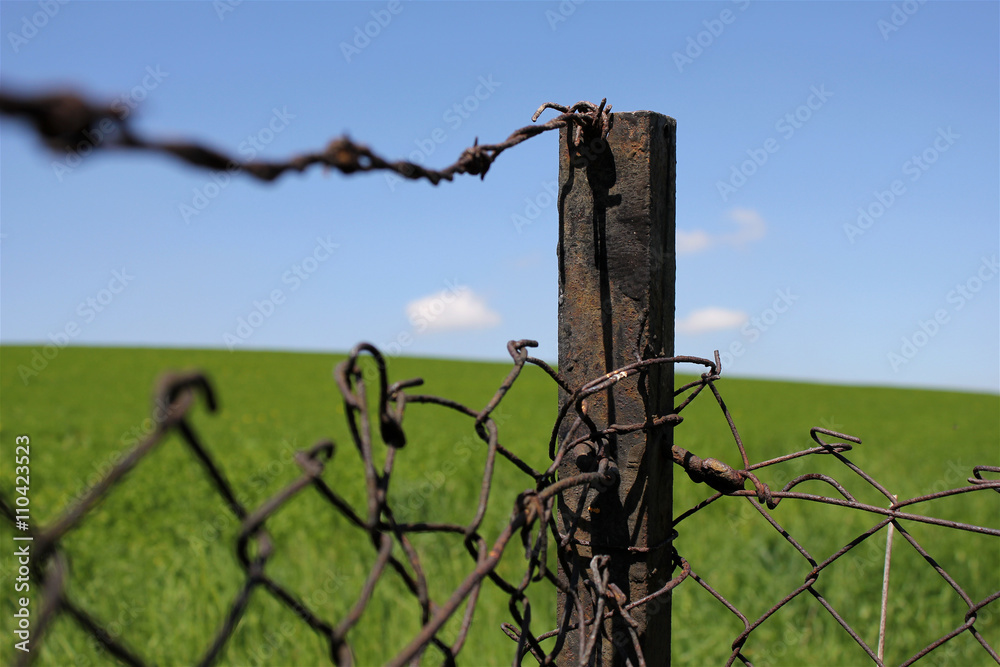 Old iron fence in focus, rusty barbed wire, grassy field and blue sky as background Old iron fence in focus, rusty barbed wire, grassy field and blue sky as background