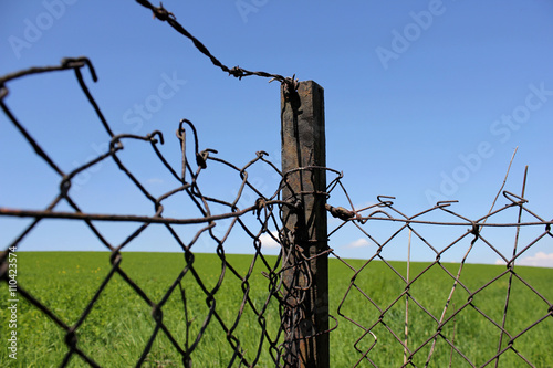 Old iron fence in focus, rusty barbed wire, grassy field and blue sky as background