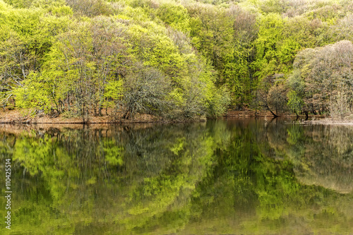 reflection of trees in lake Kutuzovskoe
