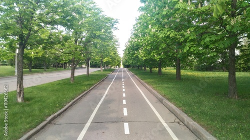 Велодорога в парке photo