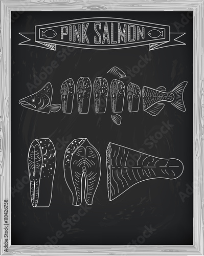 Beautiful fresh salmon closeup side view drawn with chalk. Pink