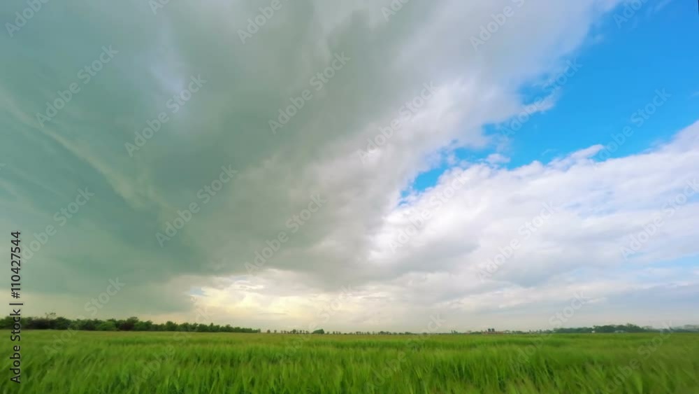 Dark Storm Clouds over a Green Wheat Field. Timelapse. Dark Storm Clouds over a Green Wheat Field. Timelapse.