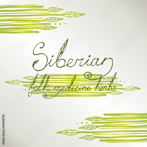 Siberian folk medecine herbs vector set. Botanical vector set.