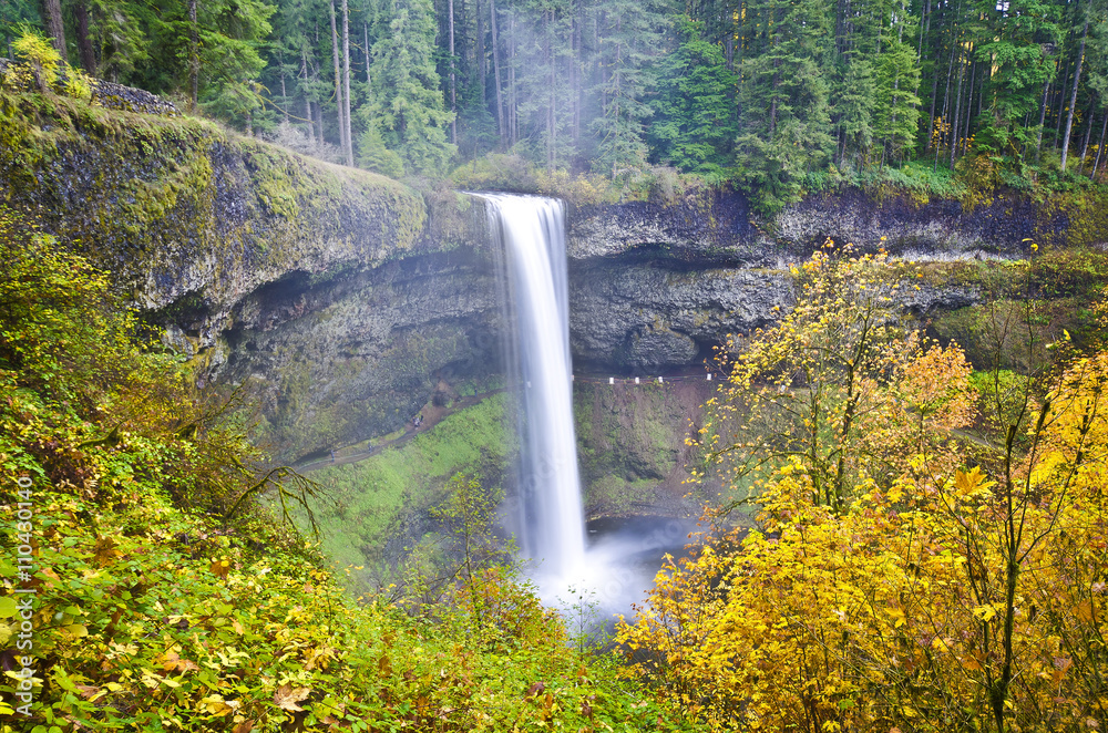 Fototapeta Silver Falls State Park Oregon, w spadku koloru