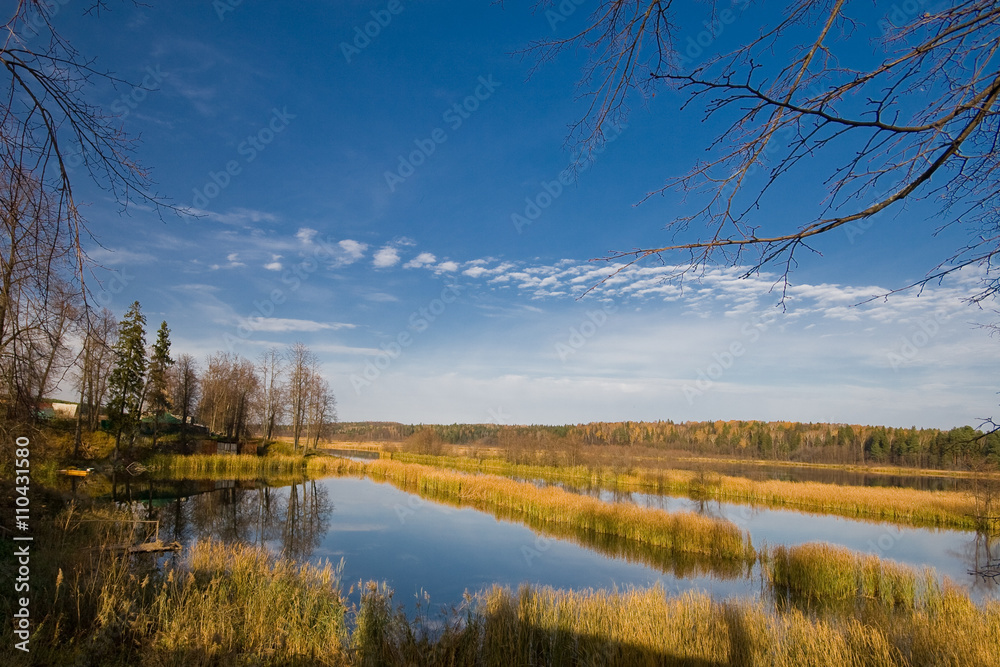 Obraz premium Colorful autumn landscape. Yellow trees. Picture for design in yellow or orange color. Autumn theme