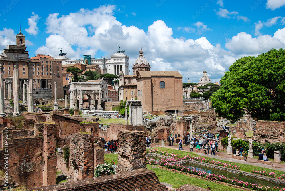 Roma, il Foro romano visto dalla casa delle Vestali