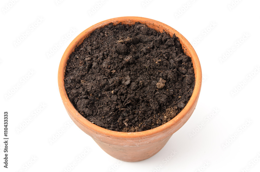 Blumentopf mit Blumenerde