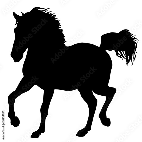 Black horse silhouette isolated 