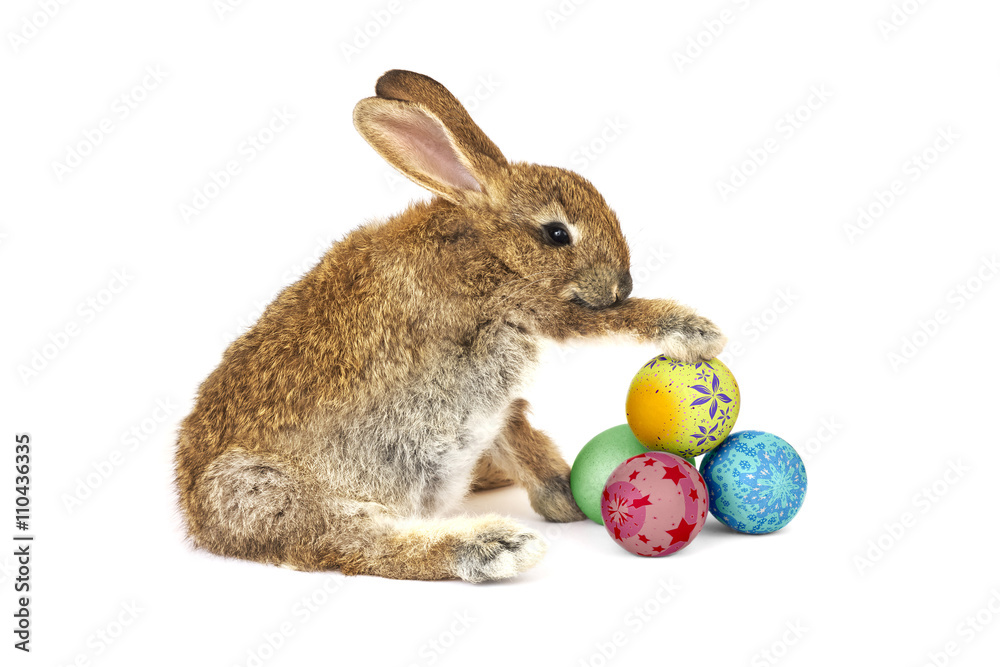 Fototapeta premium Rabbit holding several easter eggs