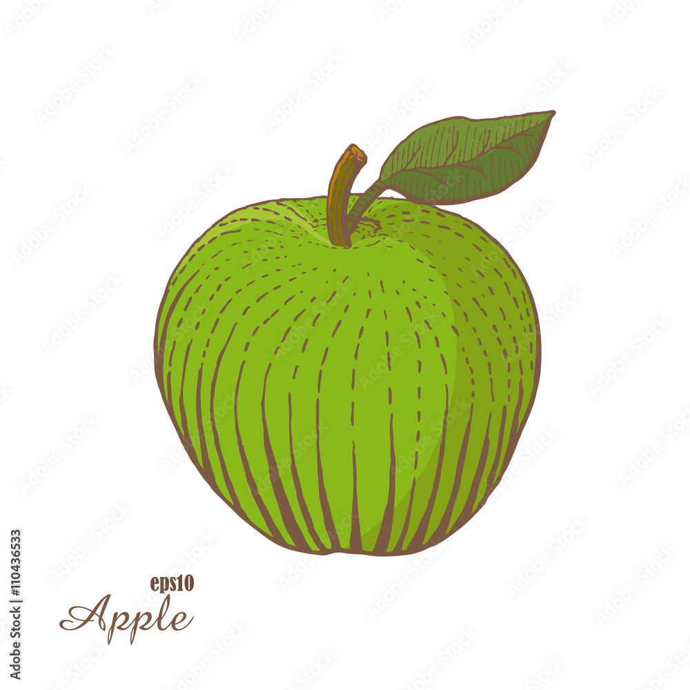 Doodle apple set icon isolated on white. outline fruit, kids • wall  stickers vitamin, vegetarian, vector | myloview.com