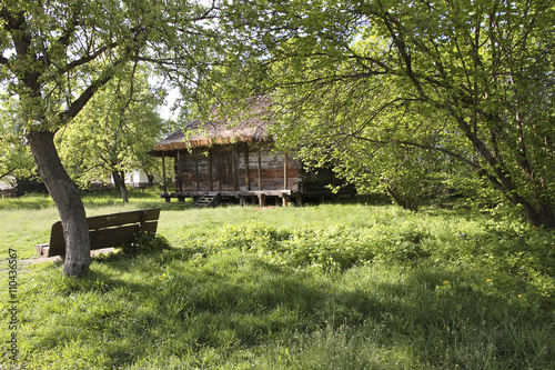 Wooden rural house in a green garden. Pirogovo  Ukraine.