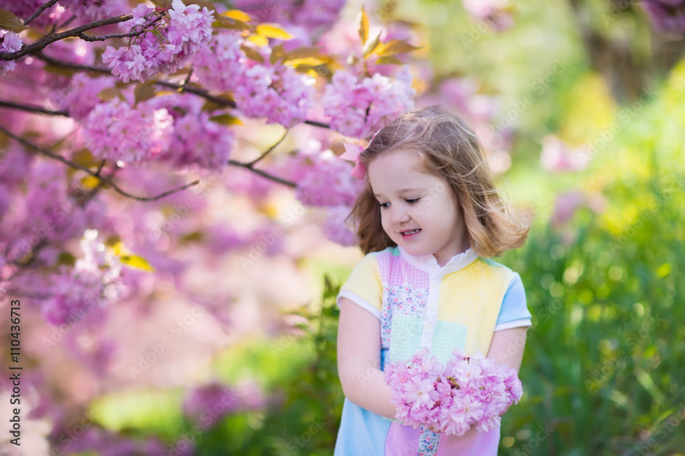 Little girl with cherry blossom Little girl with cherry blossom