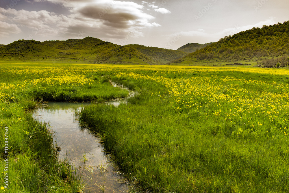 Fototapeta premium küçük menderesler ve ilkbahar mevsimi