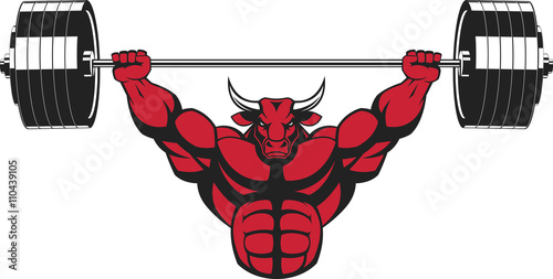Strong ferocious bull