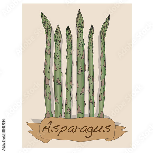 Fres asparagus vector