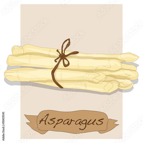 Fres asparagus vector