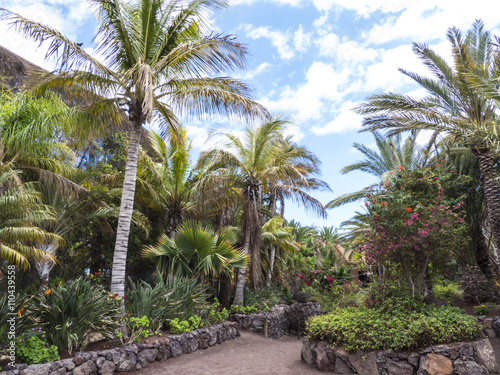 Exotic garden with palm trees.
