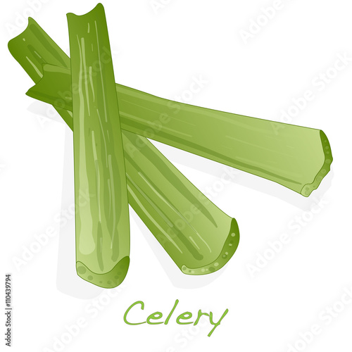 Green fresh celery isolated on white.