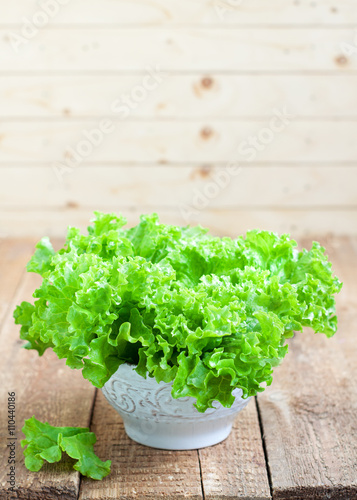Fresh green lettuce salad