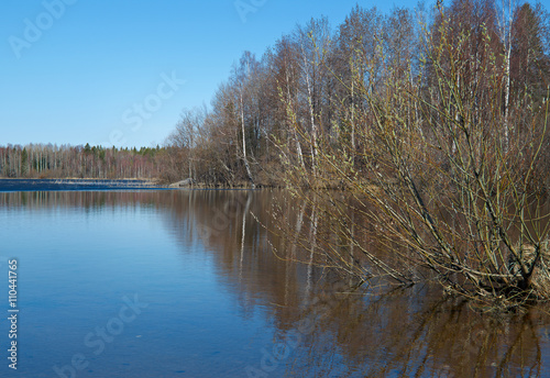 spring flooding on the lake