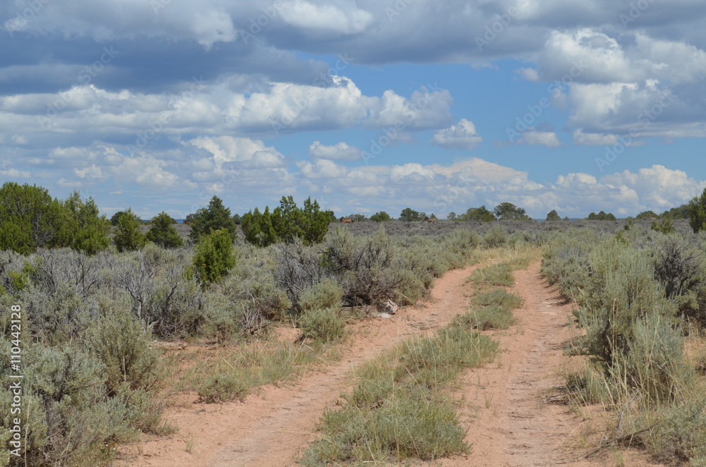 Dirt Road