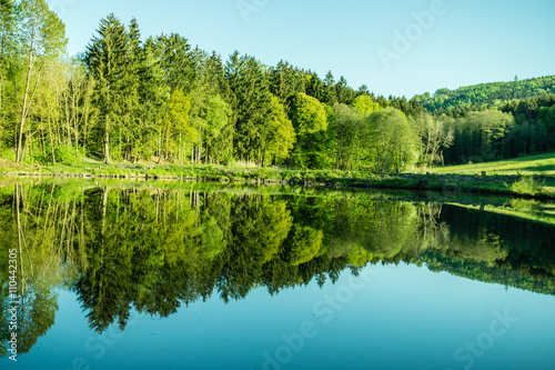 Waldlandschaft gespiegelt