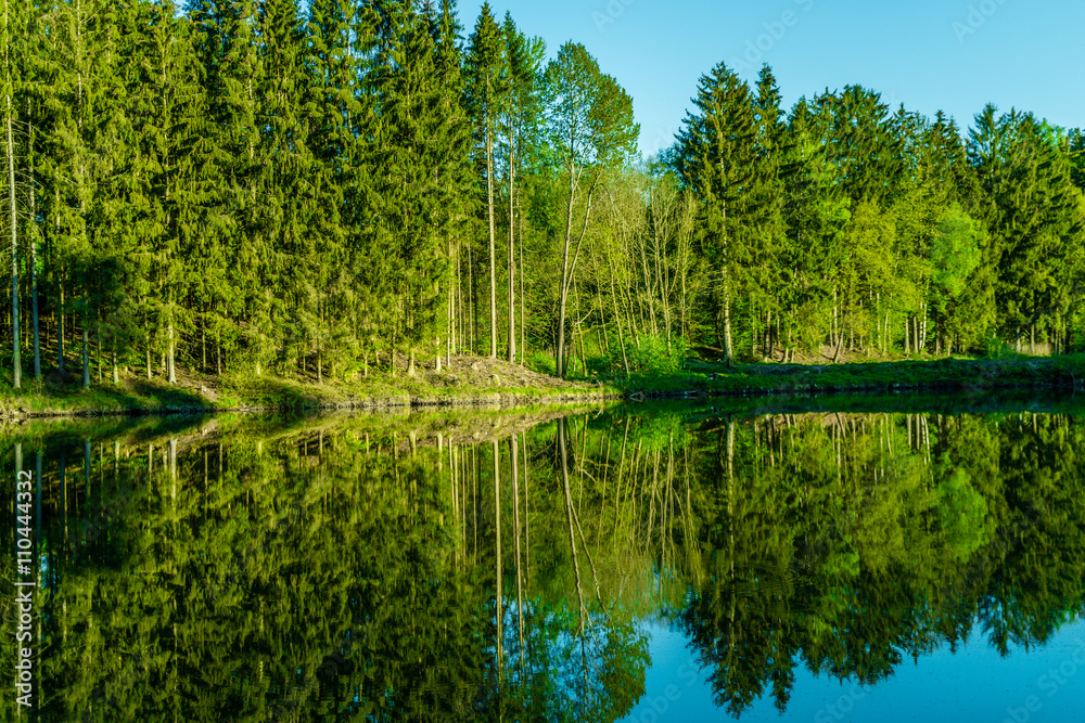 Fototapeta premium Spiegelung im Wasser