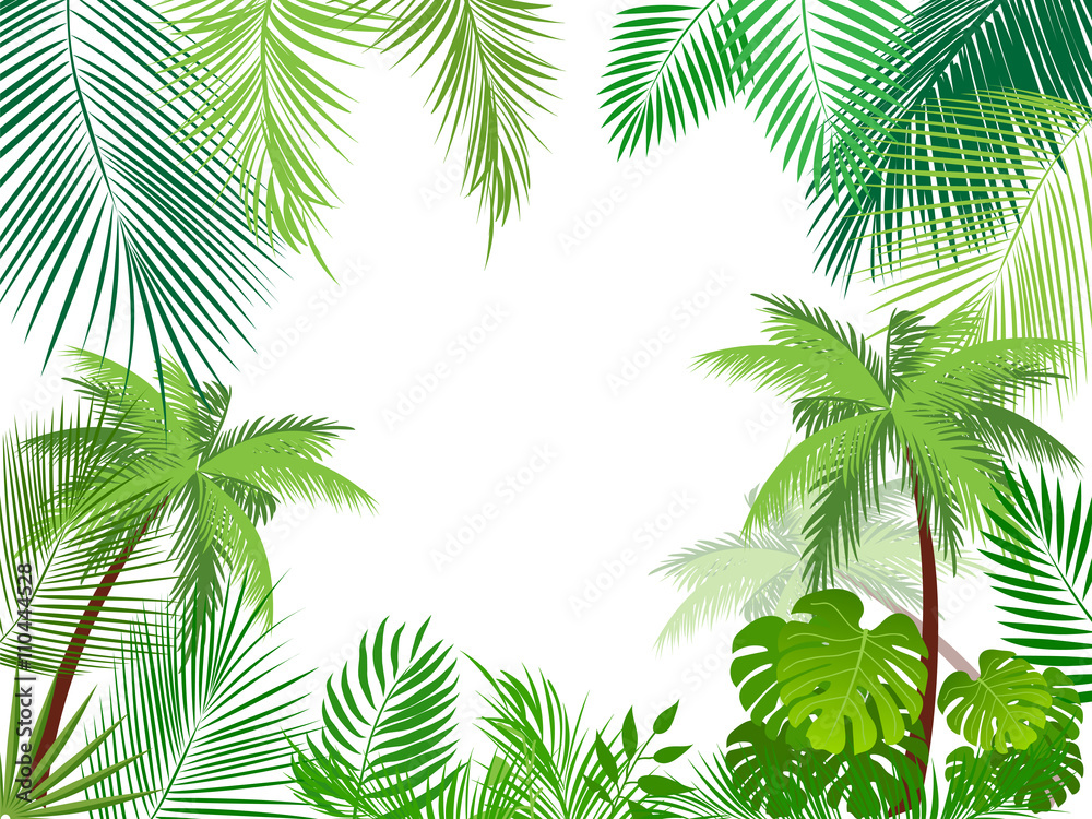 Tropical jungle background with palm tree and leaves. 