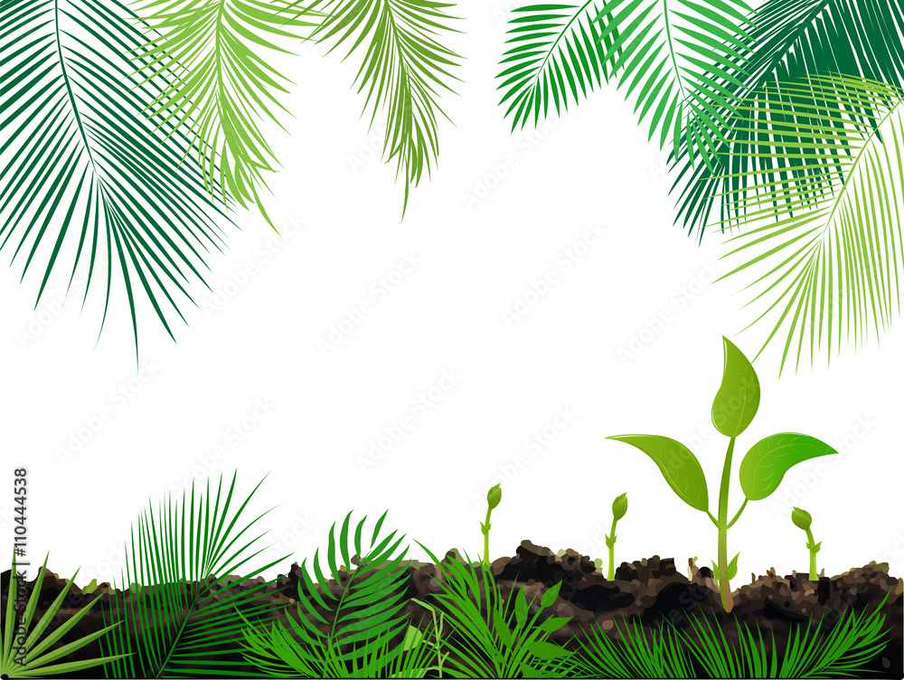 Naklejka premium Tropikalna dżungla tło z palmą i liśćmi.
