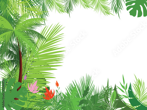 Tropical jungle background with palm tree and leaves. 