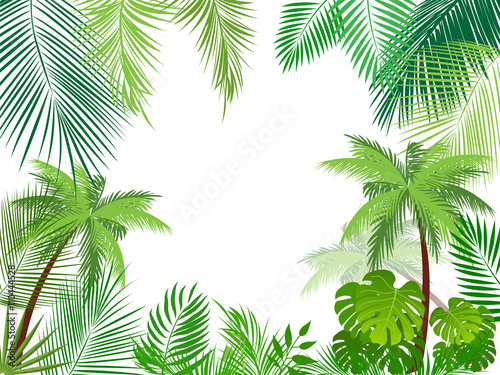 Tropical jungle background with palm tree and leaves.  © Artlu